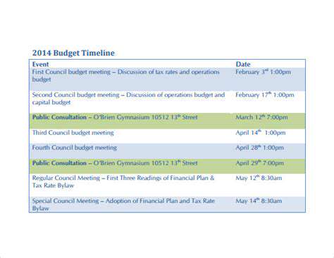 BudgetingandTimelineManagement:EnsuringaSmoothandSuccessfulRedesign