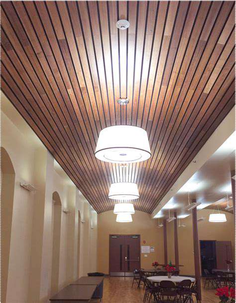 TransformativeWallandCeilingSolutions